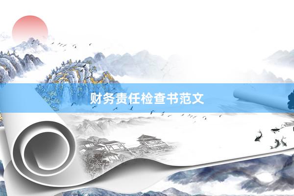 财务责任检查书范文